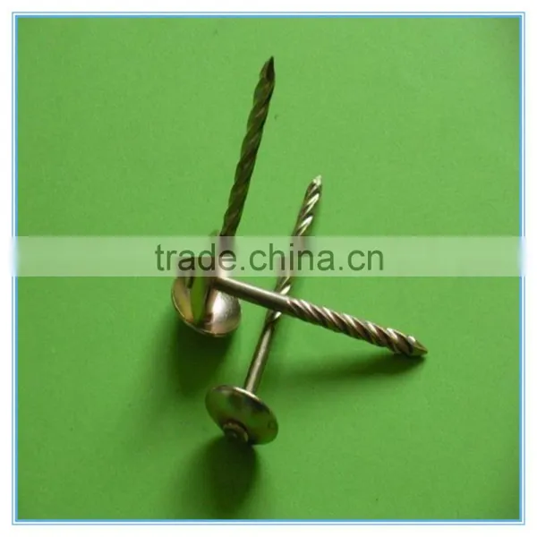 Umbrella Head Roofing Nails and Construction Nails photo-6