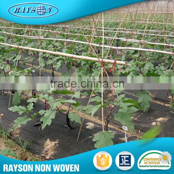 Hot Selling Products Polypropylene Plastic Agriculture Black Film photo-3