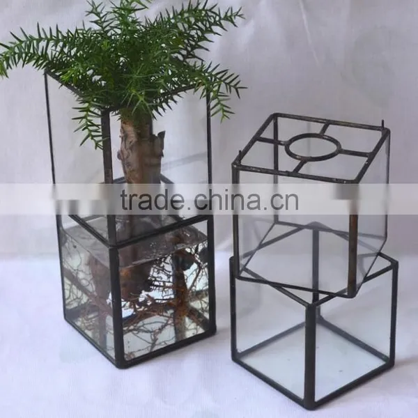 Latest Design Rectangular Terrarium Hydroponic Glass Containers photo-3