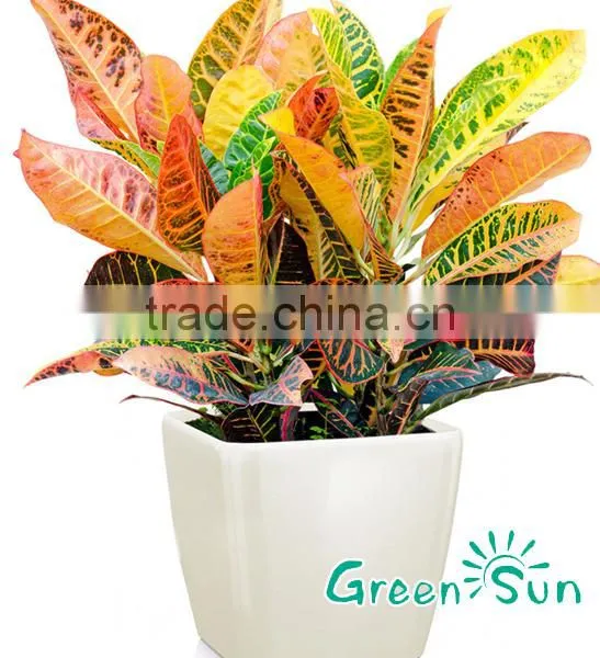 Middle Square Plastic Gardening Balcony Flower Pots for Sale photo-2