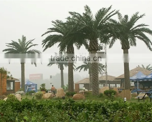 Home Garden Edging Decorative 5ft to 16ft Height Outdoor Artificial Green Plastic Palm Trees EDS06 0825 photo-5
