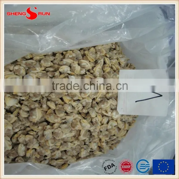 IQF Cooked Baby Clam Meat Frozen photo-5