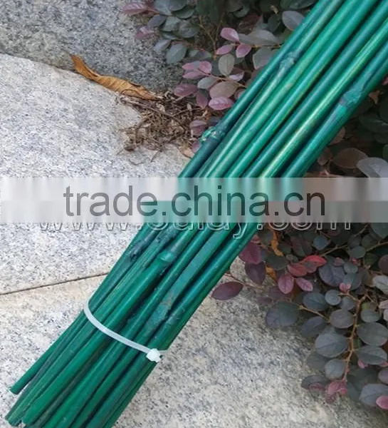 Dyed Different Colors Bamboo Sticks for Garden&agriculture photo-3