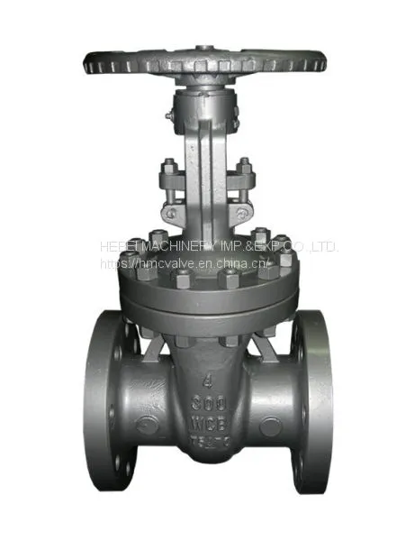 API Gate Valve photo-3