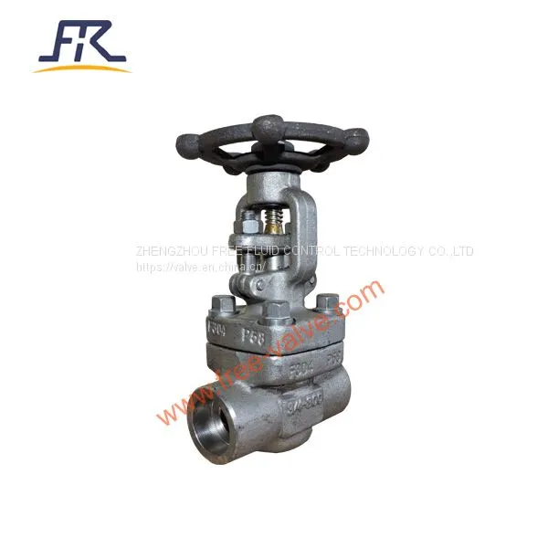 SW Ends Forged Steel A105 Globe Valve photo-4