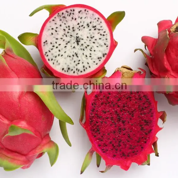 Red Flesh Fresh Dragon Fruit From Vietnam photo-3