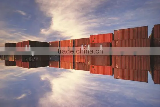 New Shipping Container for Sale, (20ft and 40ft), Metal and Steel Shipping Container, Iso Standard photo-4
