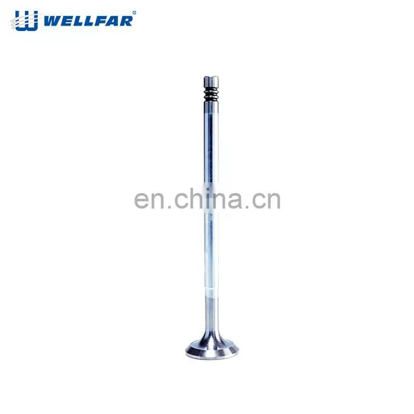 Factory High Precision Performance Engine Valve for Fiat DOBLO photo-4
