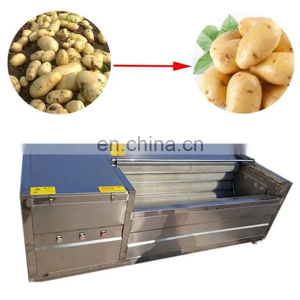 Automic Vegetable Potato Peeling Machine Brush Washing Machine photo-3