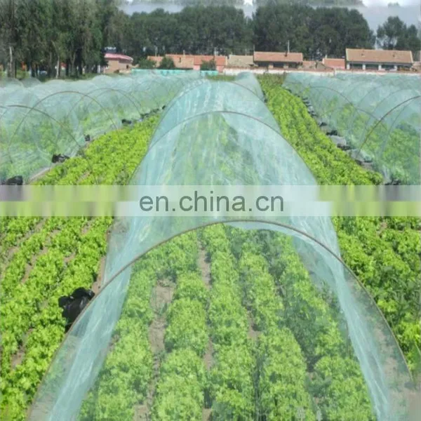 Plants Protection Anti Hail Net photo-2