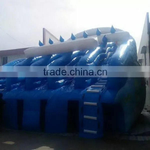 2015 Hot Sale PVC Tarpualin Inflatable Water Slides Animal Theme Water Slider photo-3