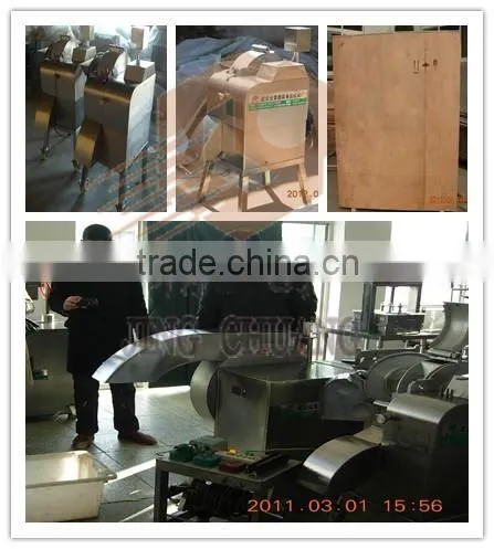 High Capacity Carrot Cubing Machine/Carrot Cuber Machine/Carrot Dicing Machine photo-6