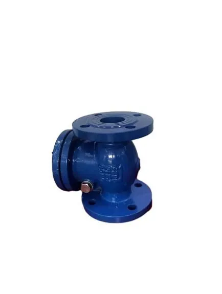 Ductile Iron Cast Iron Flange Swing Check Valve PN16 Flanged Ductile Iron Swing Check Valve photo-4