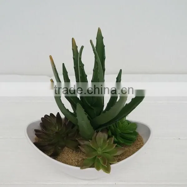 Artificial Plants/succulent/cactus Wholesale From China photo-2