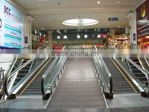 Safe and Reliable Moving Walkway Residential