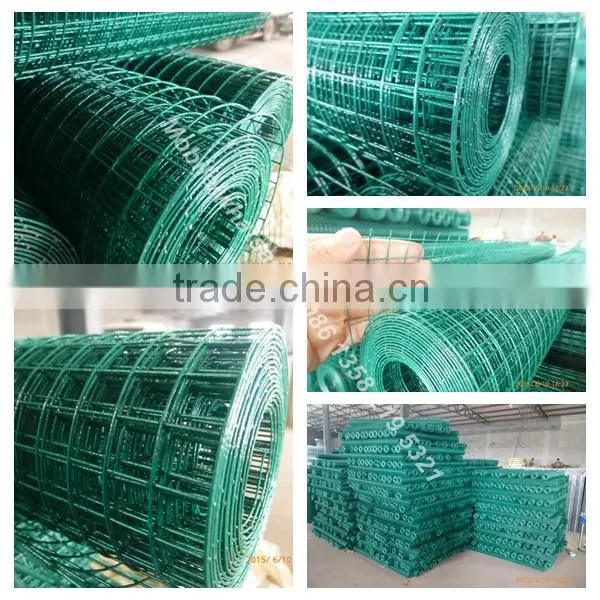 China Facotry Green Color Epoxy Coated Wire Mesh photo-6