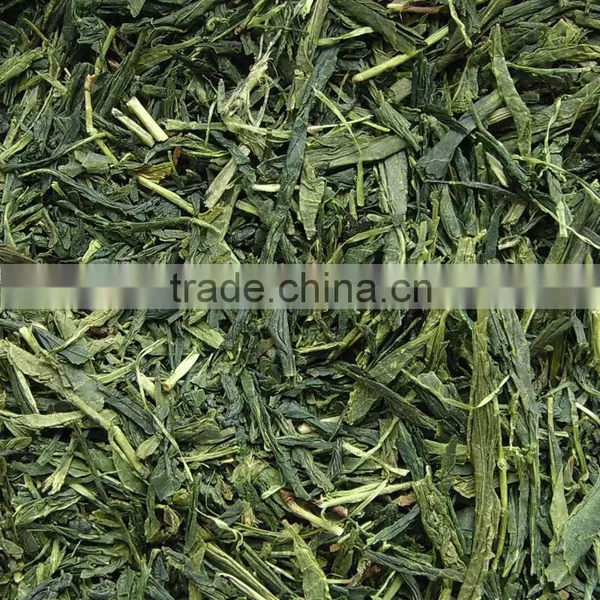 Organic Slimming Tea Wild Green Tea Japanese Sencha Steam photo-2