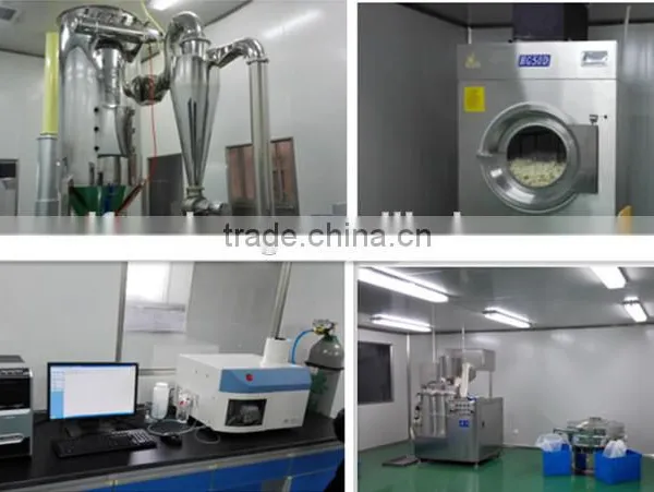 Fungal Chitosan for Stop Blood Bleeding photo-3