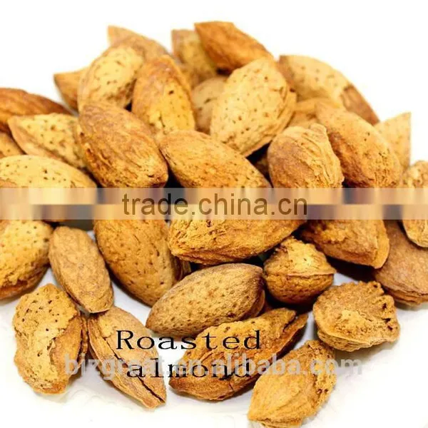 Good Taste Snack Roasted Almond With Shell for Sales photo-5