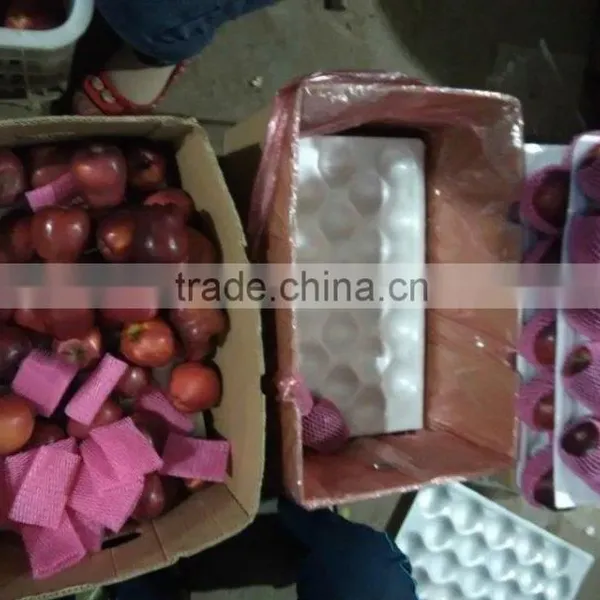 Red Delicious Apple/ Huaniu Apple photo-2