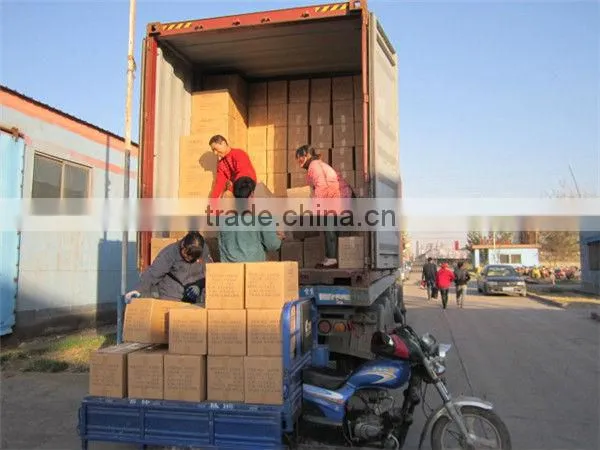 China Container Loading Supervision Service and Container Loading Monitoring