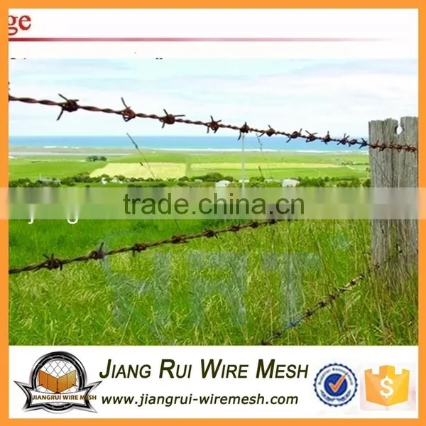 Antique Barbed Wire for Sale photo-2