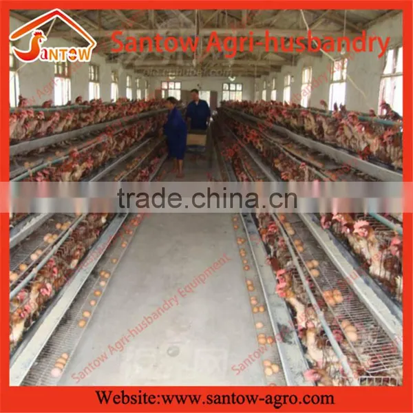 Automatic Chicken Egg Layer Cages Poultry Cage Chicken Layer Farm for Sale photo-3