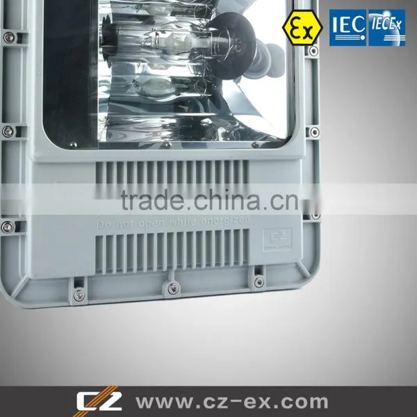 High Quality Metal Hilade And High Pressure Sodium Flood Light Fitting photo-2