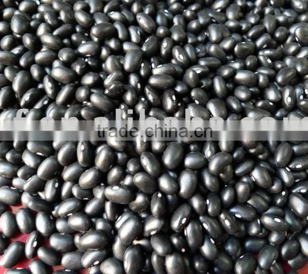 Small Black Kidney Bean/black Bean