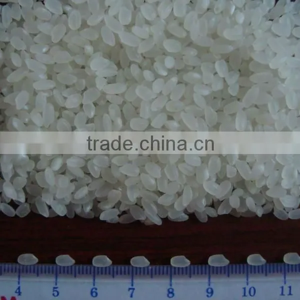 Vietnam Short Grain Rice