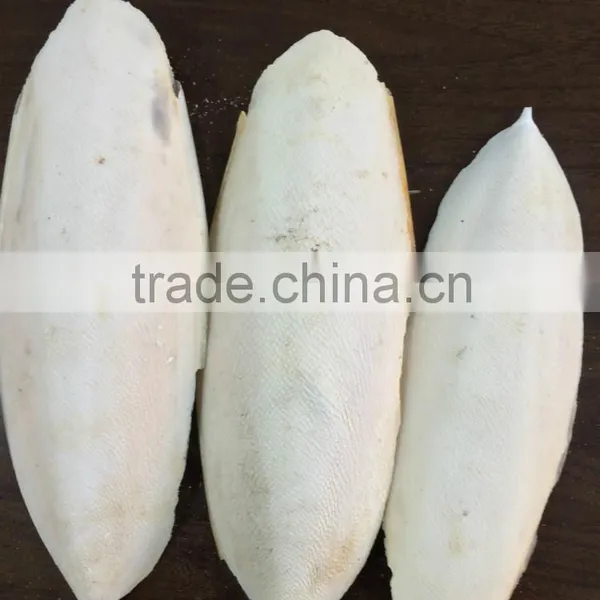 Hai Piao Xiao High Quality Dried Cuttlefish Bone