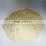 Vital Wheat Gluten