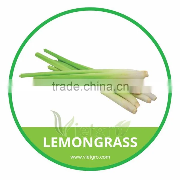 HIGH QUALITY FRESH ORGANIC LEMONGRASS // FRESH FEVER GRASS
