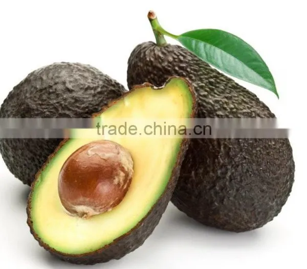 Chile Imported 100% Natural Fresh Avocado Fruit Extract Powder photo-2