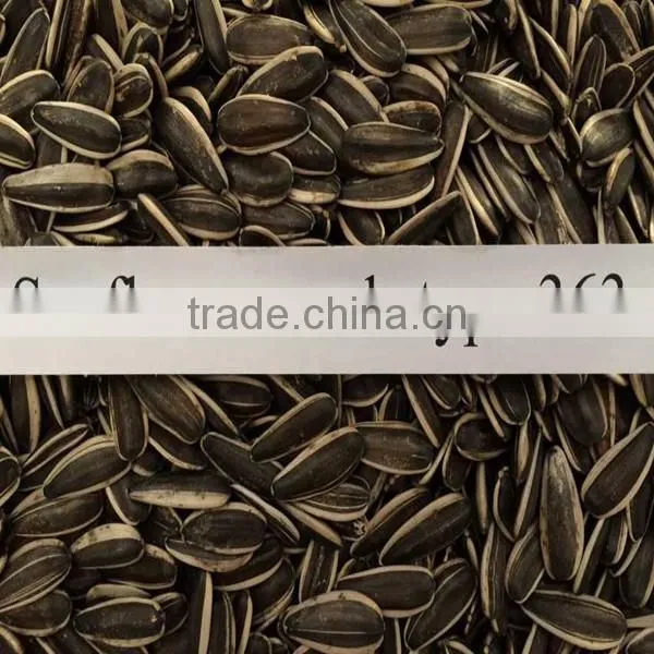 Chinese Sunflower Seeds 5009 With 270-280pcs photo-2