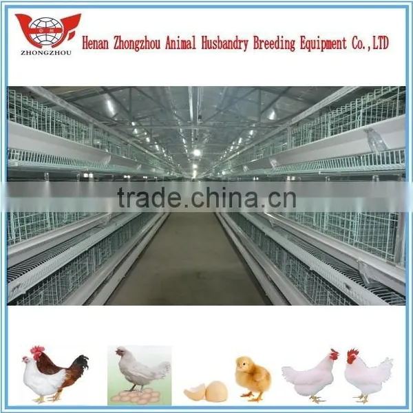 Hot Chicken Layer Cage/ Hens Chicken Cage/chicken Farm/poultry Farm photo-3