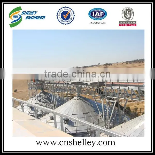 Customized Chain Drag Conveyor With CE BV photo-3