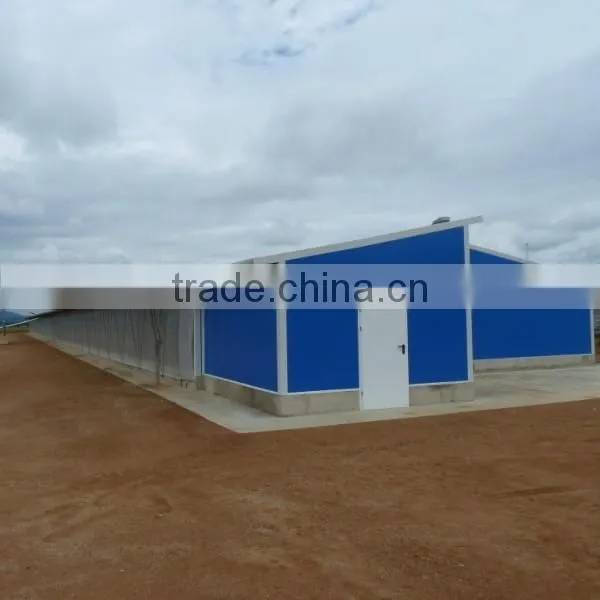 New Design Chicken Shed photo-2