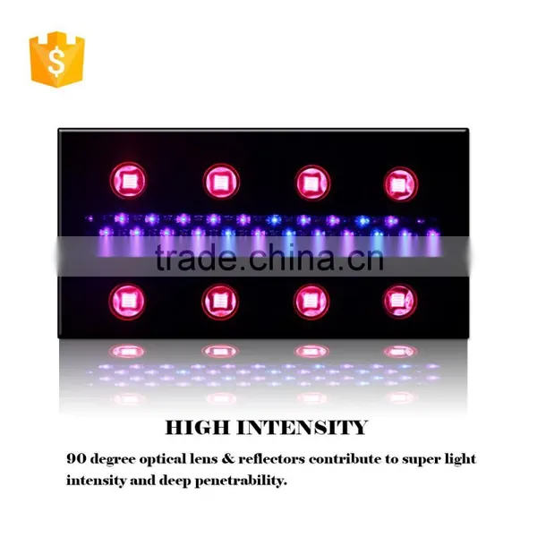 China Full Spectrum Wholesale Led Grow Lights photo-2