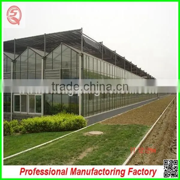 Commercial Steel Frame Venlo Polycarbonate Greenhouses for Sale photo-2