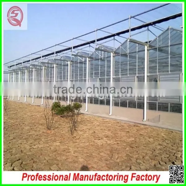 Commercial Steel Frame Venlo Polycarbonate Greenhouses for Sale photo-3