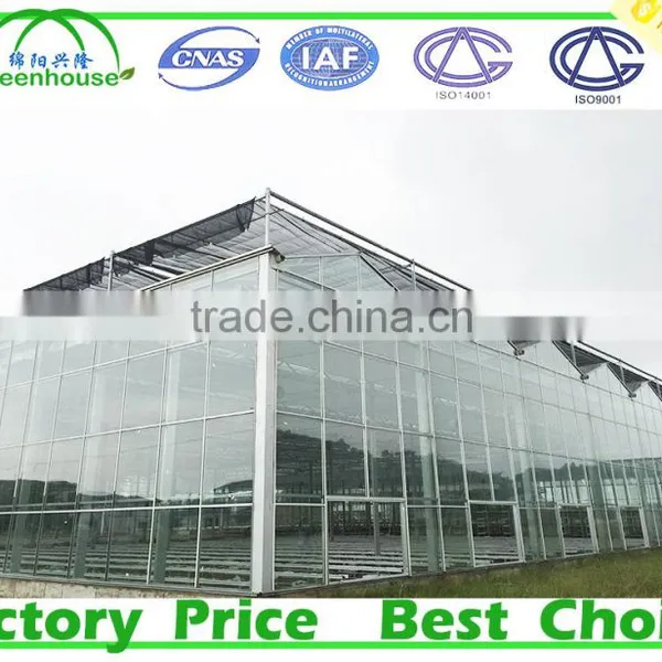 Commercial Frp Greenhouse for Agricultural photo-4