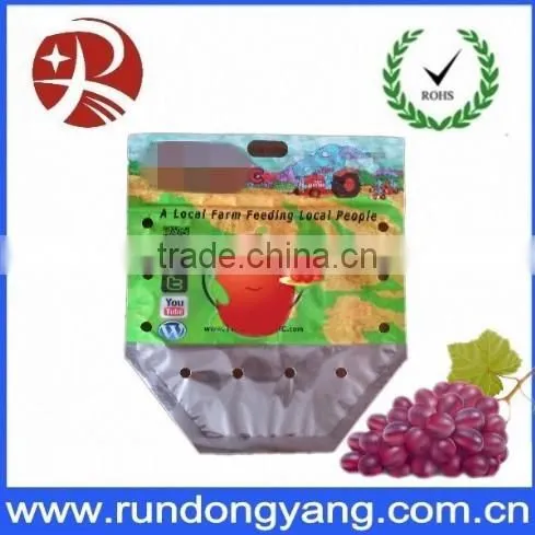 Stand Up Pouch Fruit Packaging Bag With Handle photo-2