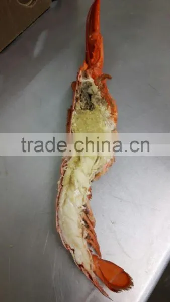 Frozen Cooked /frozen Raw Canadian Lobster