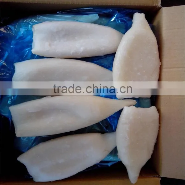 High Quality Pacific Squid Tube (Todarodes Pacificus) photo-3