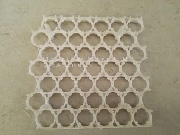 Plastic Egg Tray (chicken Eggs, Duck Eggs, Breeding Eggs) photo-5