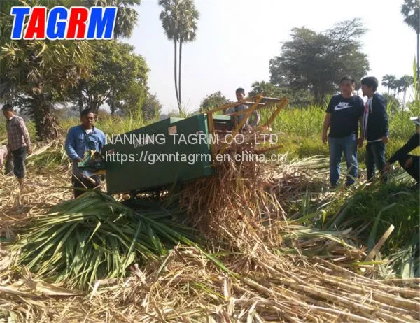 Factory Supplying Best Price Sugarcane Leaf Remover / Sugarcane Cleaning Stripping Machine