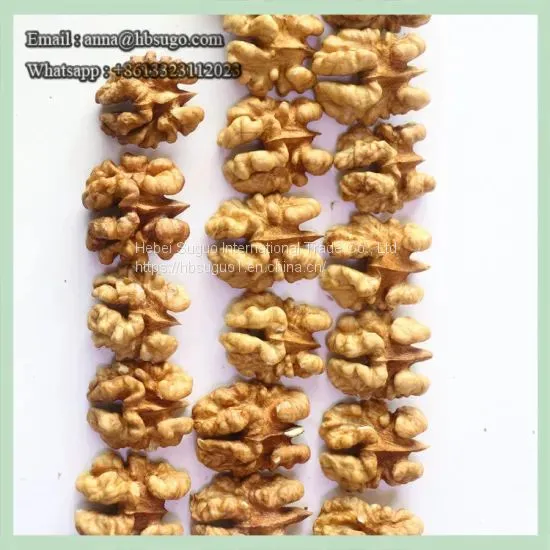 Various Sizes Walnut Kernels Supplier First Quality Walnut Kernel photo-5