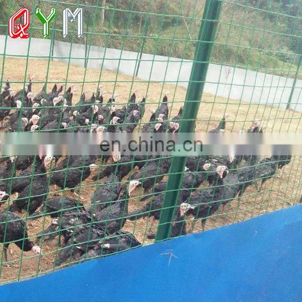 PVC Coated Holland Wire Mesh Fence Garden Euro Fence photo-5
