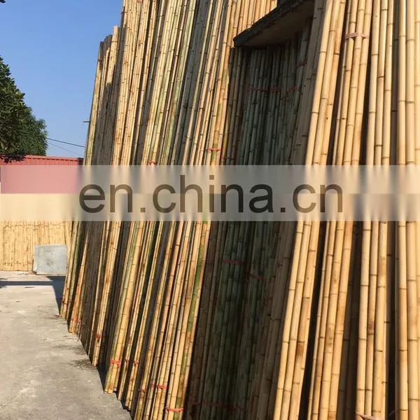 Top A Grade Best Selling Traditional Raw Bamboo Cheapest Price Custom Size for Making Chair Table From Distributor in Viet Nam photo-3